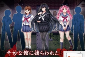 【PC/2D/RPG/汉化/全CV】於某館中 或る館にて 精翻汉化版+全存档【1G】-IS