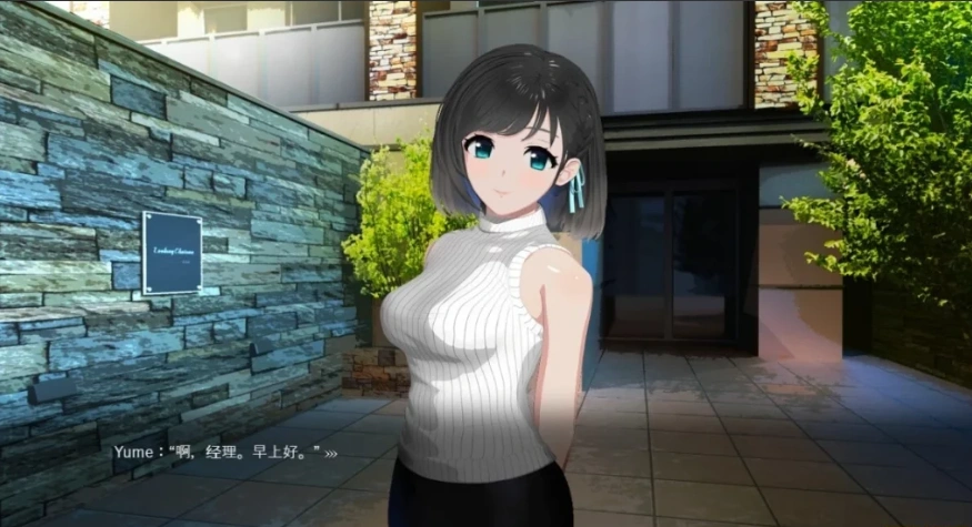 【2D/爆款SLG】ROOM：窥视女孩私生活SLG 双端汉化中文版【3.8G】-IS