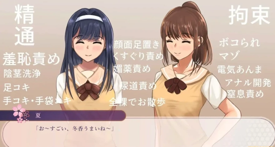 【PC/2D/RPG/汉化】大小姐的戏言 V1.00 云翻汉化版【1.2G】-IS