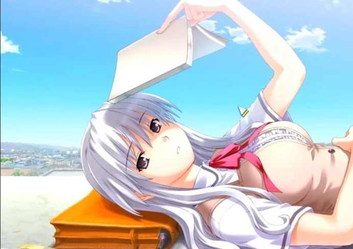 【2D/GAL/汉化】坂上台风 精翻汉化版电脑【1.9G】-IS