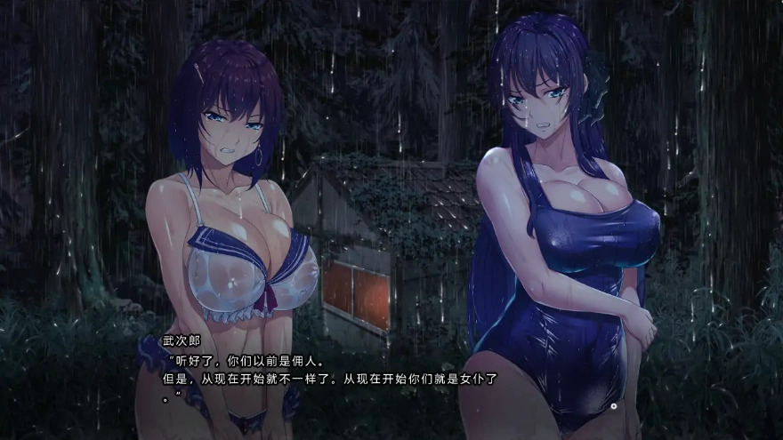 [ADV/中文] 湿漉漉的孤岛 濡れる孤岛精翻汉化版+全CG存档 电脑 [15G]-IS