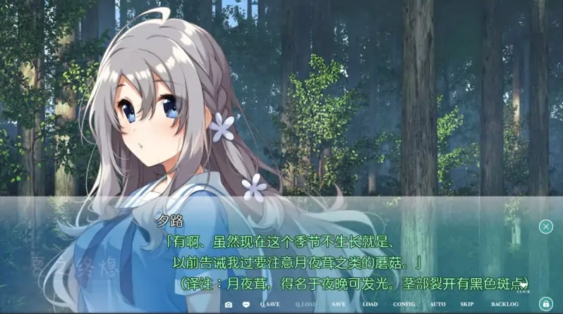 [ADV/汉化] 夏日终焉：夏ノ終熄 汉化版电脑 [1.2G]-IS