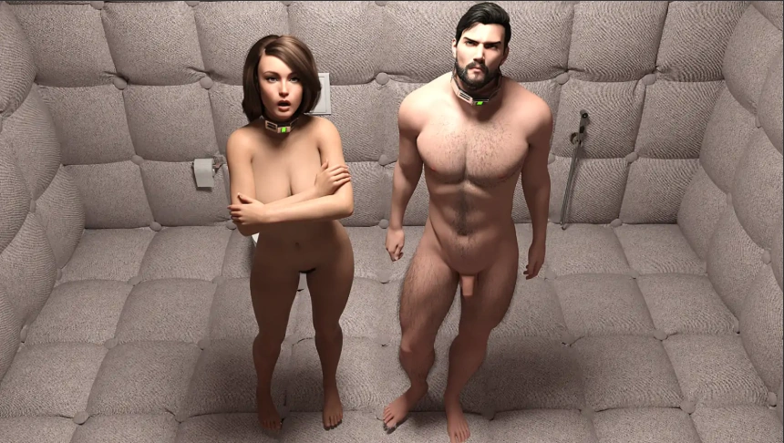 [欧美SLG/汉化] 白立方 白色立方体 White Cube v0.5c PC+安卓汉化版 [7G]-IS