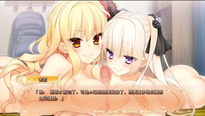 [ADV/汉化] 贤者的赠品妹妹 賢者の贈り妹AI汉化版电脑 [1.5G]-IS