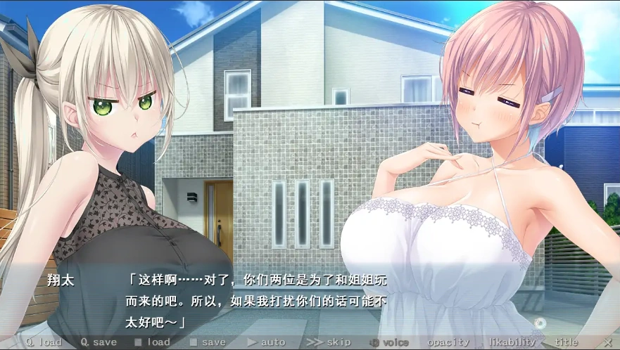 [ADV/竹子社汉化/动态] 霸道姐姐的闺蜜 アネトモAI汉化版电脑 [4.3G]-IS