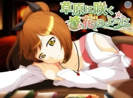 【日系RPG/AI汉化】女祭司丽丝陷入NTR1.0【PC+安卓/539M】-IS