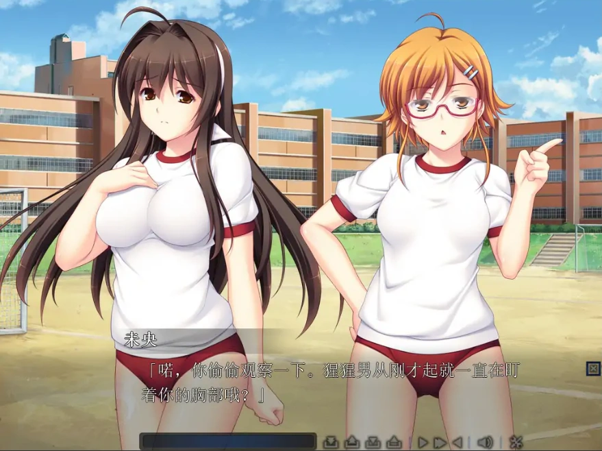 [ADV/汉化] 圣天之泪：惨遭背刺的天使V1.01 官方中文电脑 [7.7G]-IS