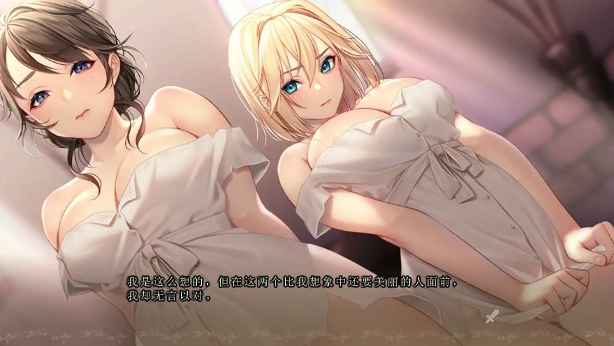 [ADV/中文] 奴隶公主骑士和奴隶侍女的悠闲生活汉化版电脑 [1.8G]-IS