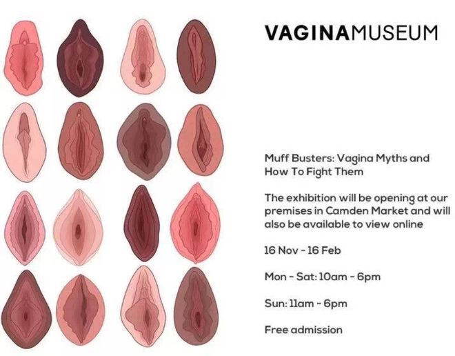 网友收集了性感撩人的白皙嫩妹的各种粉嫩户型，感觉“英国阴道博物馆”都没有收录过-IS