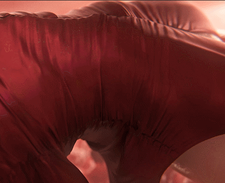 【神級3D/全動态】Nagoonimation：艾達王-觸手巢穴 4K步兵版【動畫/新作/1.6G】-IS