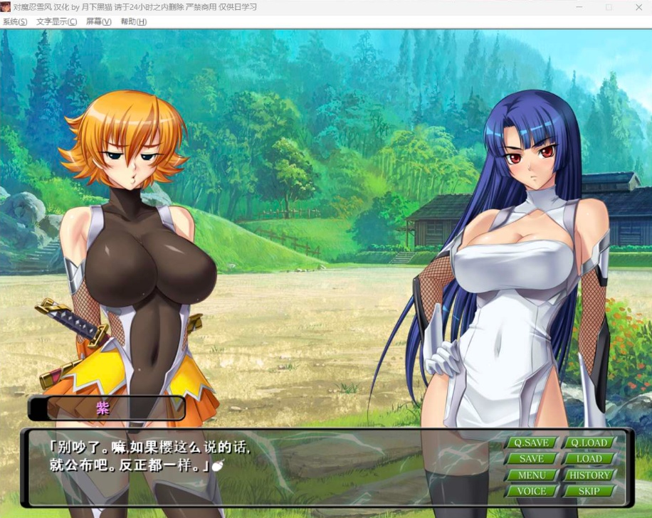 【大拔作ADV汉化全CV】对魔忍雪风【安卓+PC】AI精翻汉化版+全CG回想【新汉化900M】-IS