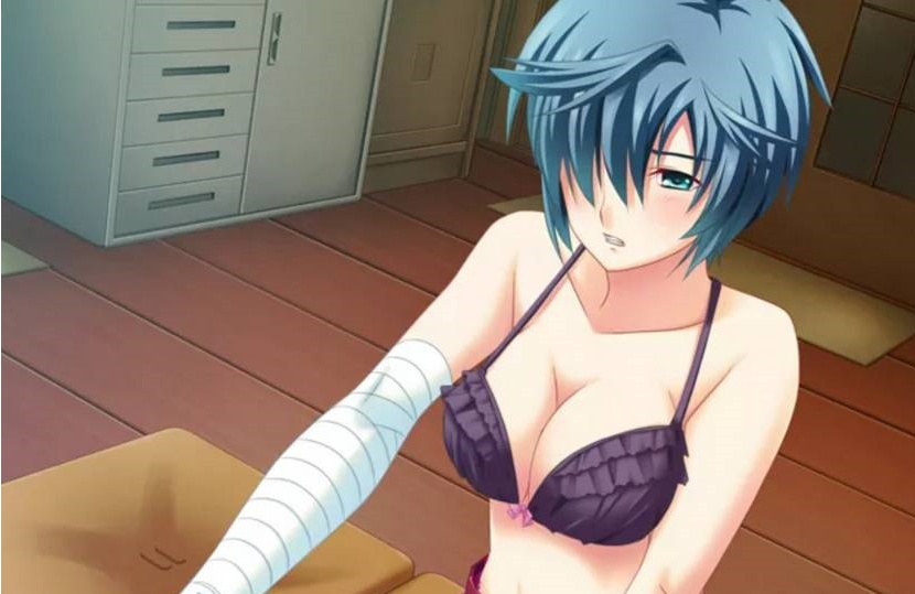 【日系ADV/安卓】花鸟风月-坠入爱河的花园之姬[百度/微云]-IS