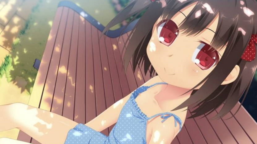 【日系ADV/安卓】邀请回家的少女[百度/微云]-IS