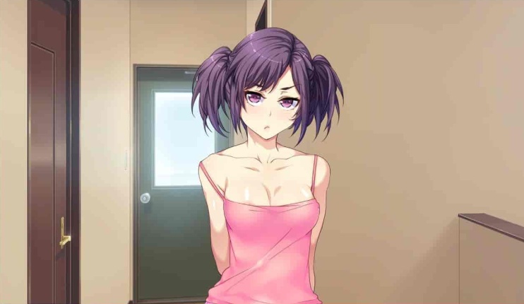 [拔作ADV/汉化]贞操观念ZERO：和枪间一家的奇妙暑假 步兵汉化版+全漫画[1.2G/百度]』-IS