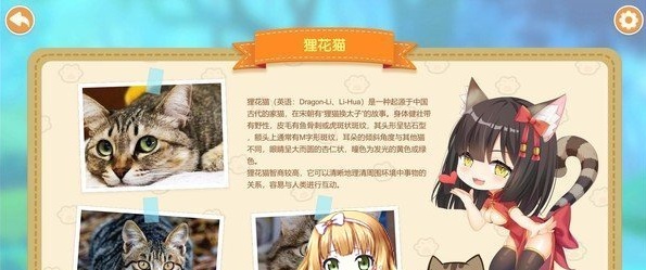 [互动SLG/中文/动态]猫姑娘:喵喵岛 Miss Neko2 官方中文步兵版[百度][600M]』-IS