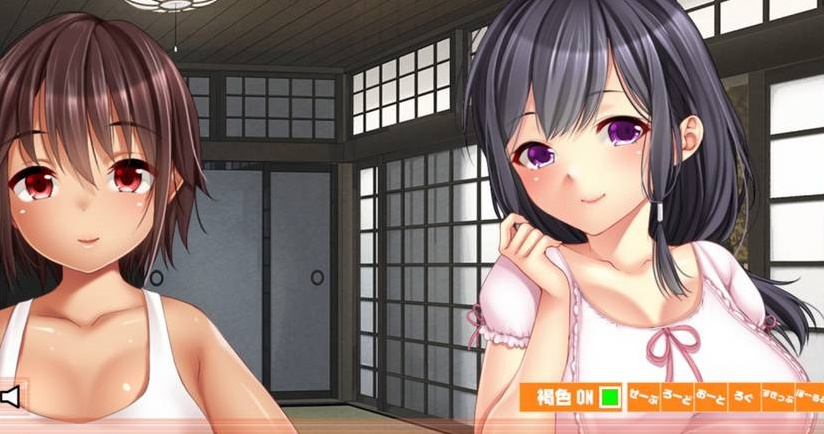 【日系AVG/安卓】乡下的无知娘[百度/微云]-IS