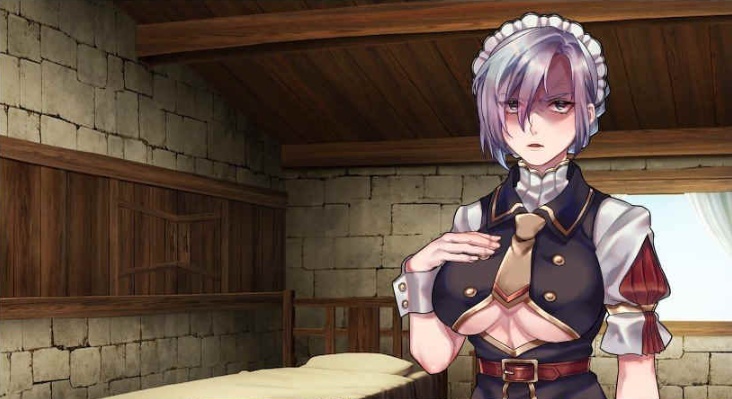 [RPG/中文/动态]奴隶女仆与报酬迷宫 BOKIBOKI官方中文步兵版[新作][500M/百度]』-IS