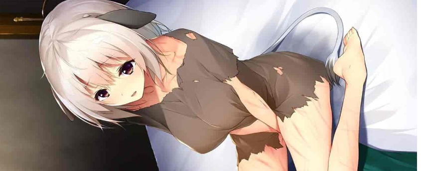 [画风炸裂/奴隶/神作ADV]饲养捡到的美少女～和兽人娘的亲热生活～云汉化版+CG包[PC+安卓][百度][780M]』-IS